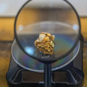 Foto 13 de la exposici&oacute;n